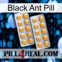 Black Ant Pill levitra2